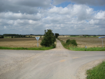 Near Mellerup, typical South-Jutland landscape