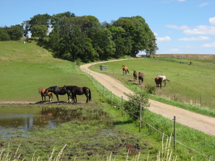 Just past Thorning Just past Thorning