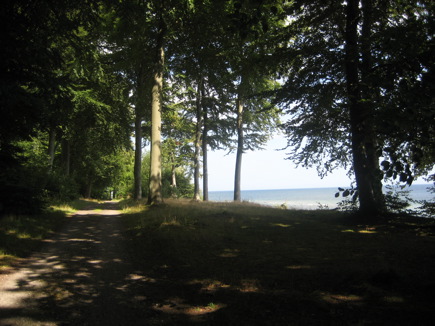 Mellemskov, oostkust van Falster Mellemskov, oostkust van Falster