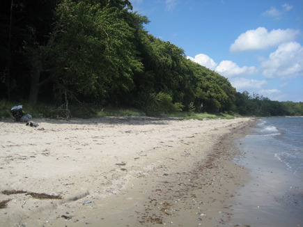 Mellemskov aan de oostkust van Falster Mellemskov aan de oostkust van Falster