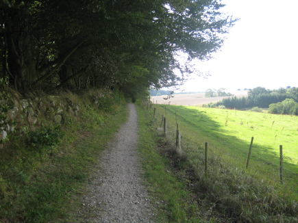 Valborup Skov Valborup Skov