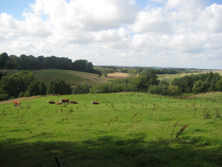 Valborup Skov Valborup Skov