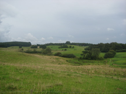 Svanninge Bakker, Fyn