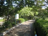 A surprising green path in the middle of town, between the dull grey concrete