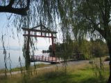To get to a shrine, you always have to go through a torii, an entrance gate. Even if you come from the water
