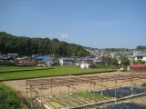 If the towns and villages are not joined together, they are surrounded by rice fields and kitchen gardens