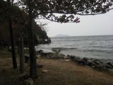 The shore near the camp-site
