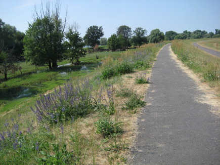 Oder-Neiße Radweg Oder-Neiße Radweg