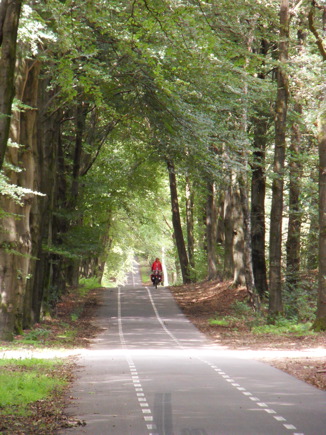 Fietsen over de Utrechtse Heuvelrug Fietsen over de Utrechtse Heuvelrug