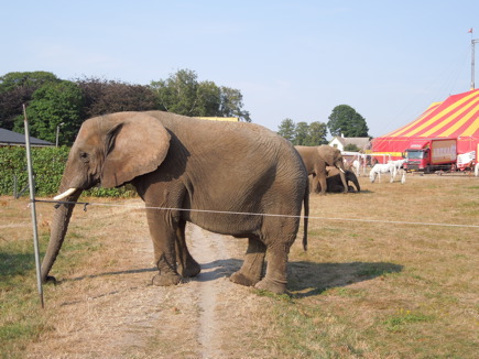 Circus near Hasle, Bornholm Circus near Hasle, Bornholm