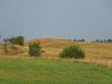 Noord-Jutland