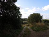 Ruig landschap in het noorden van Jutland
