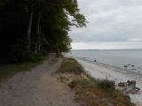Forrest path along the coast between Faxe Ledepladse and Lund, Sjælland