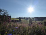 Fietspad bij Büllingen