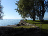 Bodensee bij Altenrhein