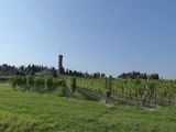 San Martino della Battaglia