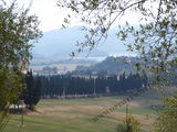 Galliano