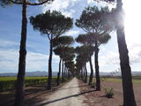 Via Vecchia Aurelia