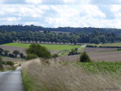 Wallingford