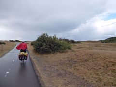 Ter Heijde
