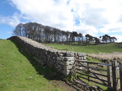 4 hadrians wall housesteads