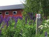 02 olavsleden