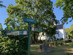 img 4319