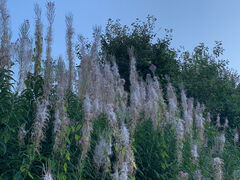 img 4895