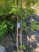 img 6712