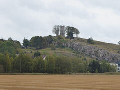 img 6869