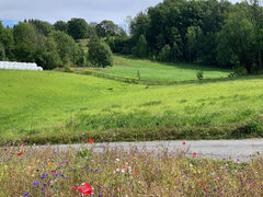 img 0370