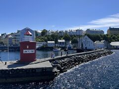 img 7308