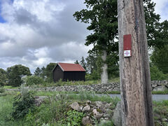 img 8462