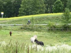 img 8526