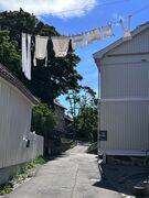 img 8716 2