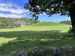 img 8775
