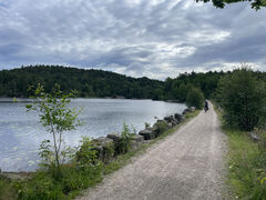 img 8905