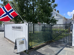 img 8993