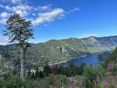 img 9535