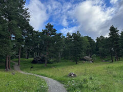 img 9947