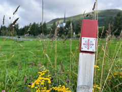 img 9976