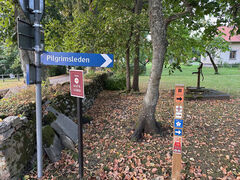 img 4529