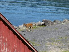 img 9794