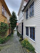 img 0184