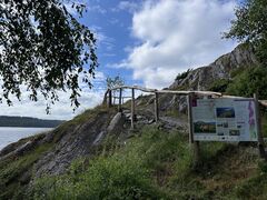 img 0262
