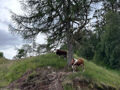 img 0373