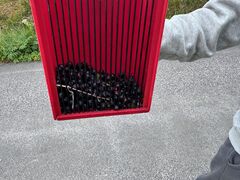 img 0407