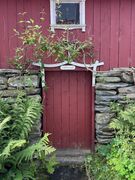 img 0560