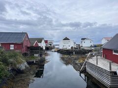 img 0798