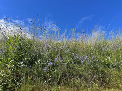 img 1440